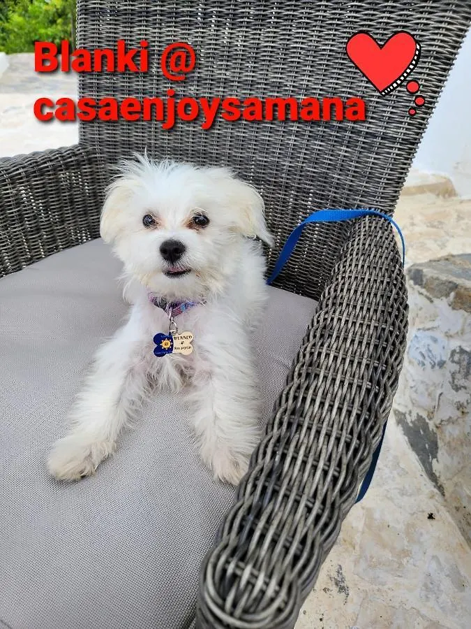 Casaenjoysamana Hotel Los Naranjos