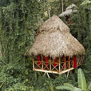 2* Resort Dominican Tree House Village